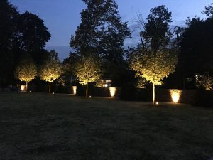Landscape lighting