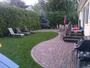 Artificial turf, landscape design, evergreen screening