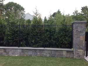 masonry, evergreen screening